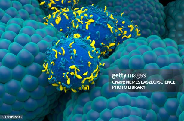 stockillustraties, clipart, cartoons en iconen met car-t cell therapy for prostate cancer, illustration - alternatieve therapie