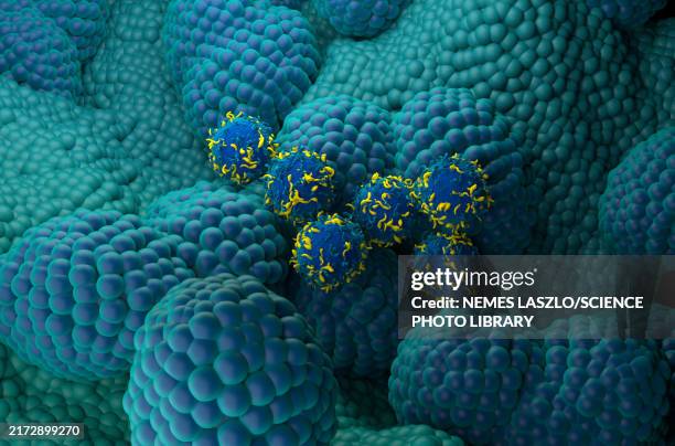 car-t cell therapy for prostate cancer, illustration - prostate cancer stock illustrations