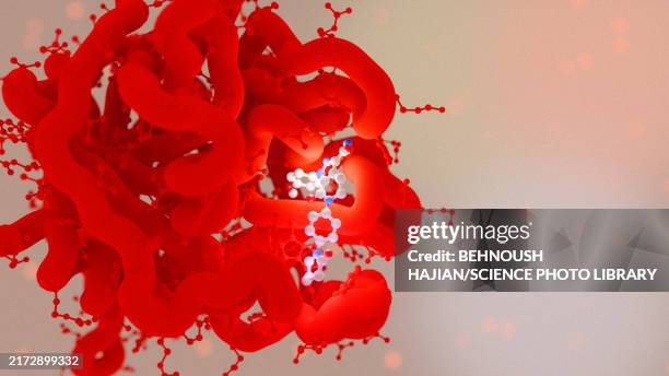 stockillustraties, clipart, cartoons en iconen met apixaban oral anticoagulant, illustration - ligand