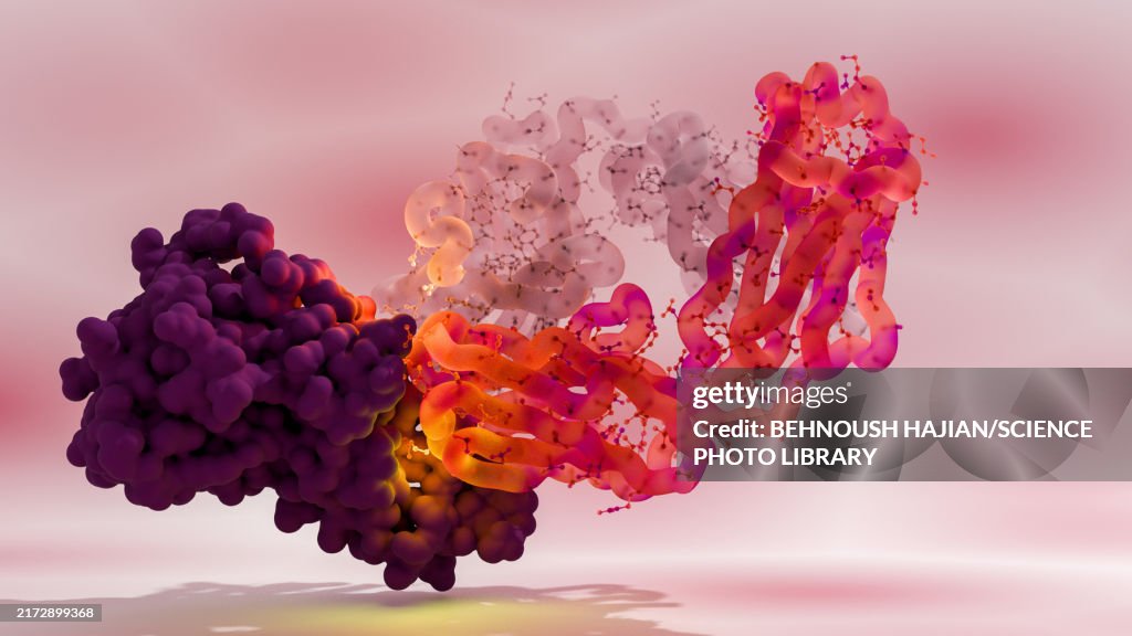 Adalimumab immunosuppressive drug, illustration