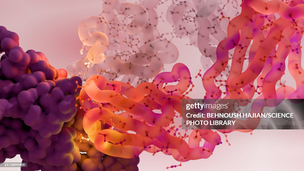 Adalimumab immunosuppressive drug, illustration