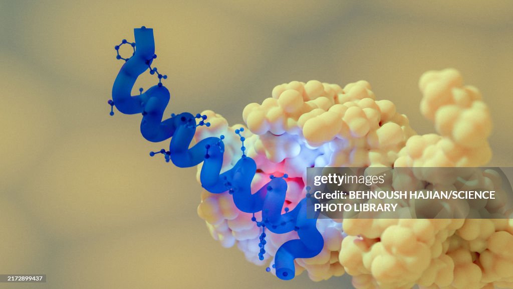 Semaglutide antidiabetic drug, illustration