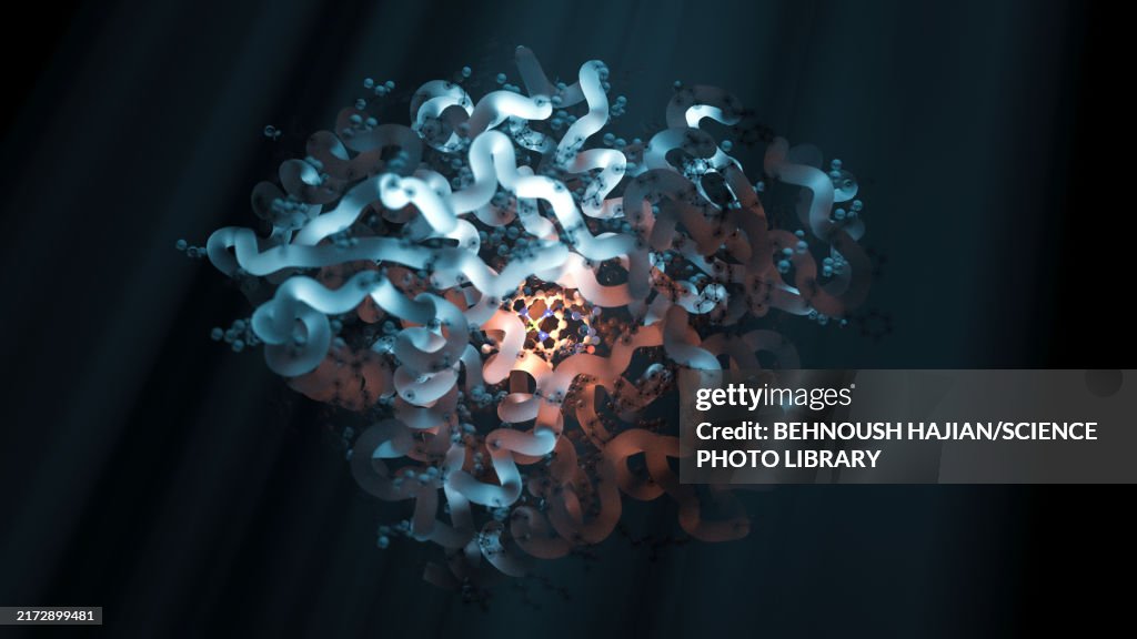 Metformin antidiabetic drug, illustration