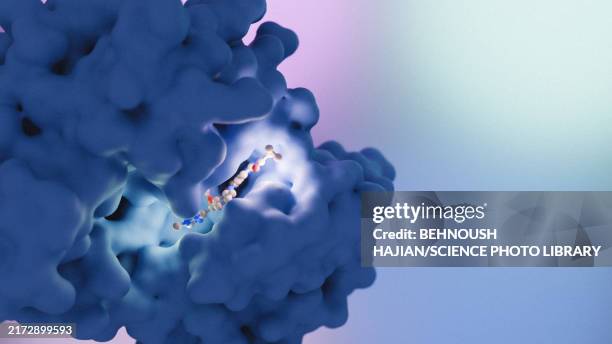 deucravacitinib psoriasis drug, illustration - tyrosine kinase 2 stock illustrations