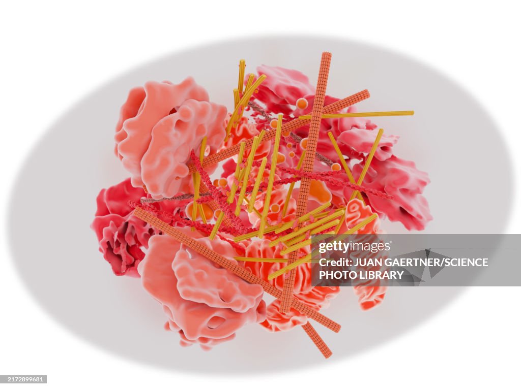 Lewy body molecular structure, illustration