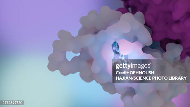 camizestrant breast cancer drug, illustration - receptor stock illustrations