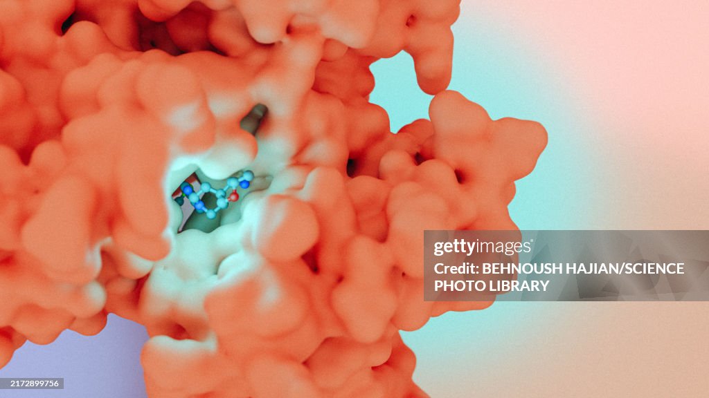 Batoprotafib anticancer drug, illustration