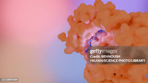 stockillustraties, clipart, cartoons en iconen met biib091 multiple sclerosis drug, illustration - multiple sclerose