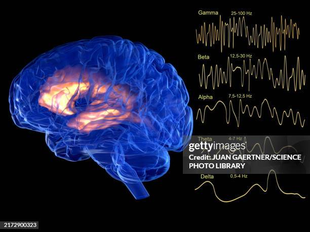 stockillustraties, clipart, cartoons en iconen met brain waves, illustration - eeg
