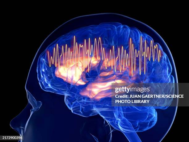 gamma waves in the brain, illustration - eeg stock-grafiken, -clipart, -cartoons und -symbole