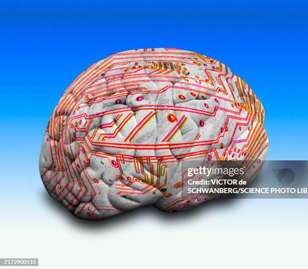 brain-computer interface, conceptual illustration - brain-computer-interface stock-grafiken, -clipart, -cartoons und -symbole