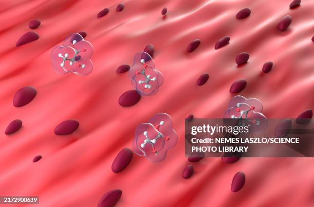 lactic acid in muscle tissue, illustration - metabolism stock illustrations