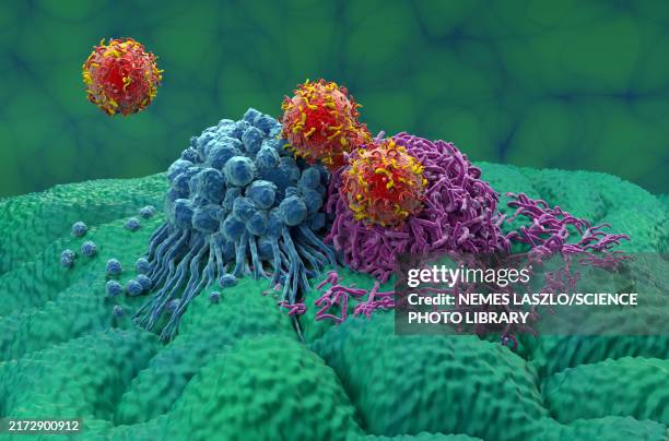 car-t cell therapy for stomach cancer, illustration - tumour stock pictures, royalty-free photos & images