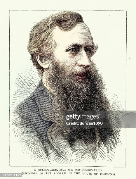 john mulholland, 1st baron dunleath, mp for downpatrick, victorian 19th century british history, 1876 - long beard stock illustrations