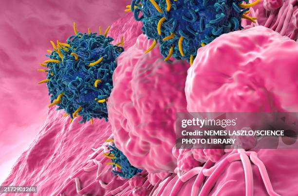 car-t cell therapy for thyroid cancer, illustration - sistema endocrino fotografías e imágenes de stock