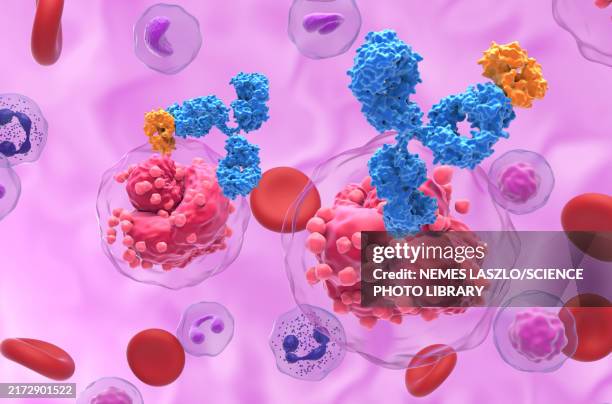 monoclonal antibody therapy for all, illustration - antikörper stock-fotos und bilder