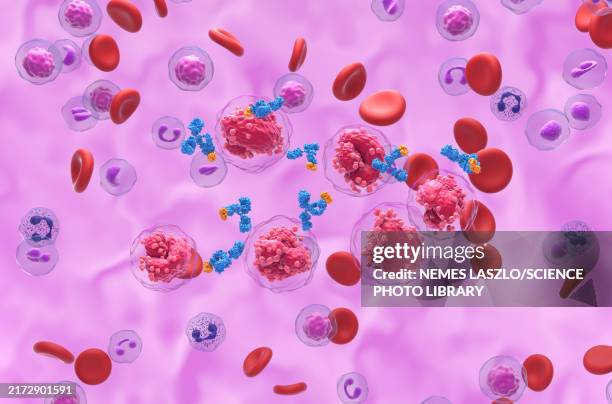 monoclonal antibody therapy for all, illustration - immunology stock pictures, royalty-free photos & images