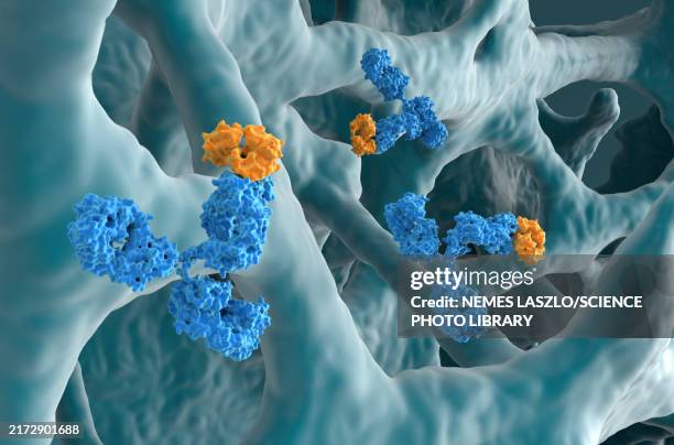 monoclonal antibody therapy for osteoporosis, illustration - immunoglobuline stockfoto's en -beelden