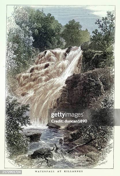 torc waterfall, killarney in county kerry, ireland, 1870s, vintage illustration - torc waterfall stock illustrations