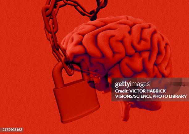 Brain Lock Mem 366 Brain Lock Stock Photos, High-Res Pictures, and Images - Getty Images