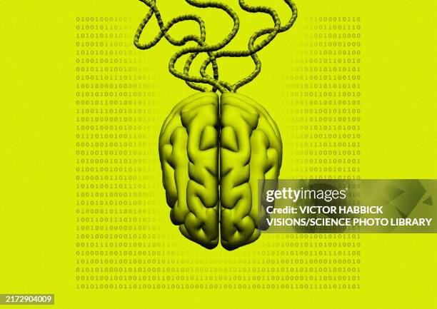 brain-computer interface, illustration - brain-computer-interface stock-grafiken, -clipart, -cartoons und -symbole