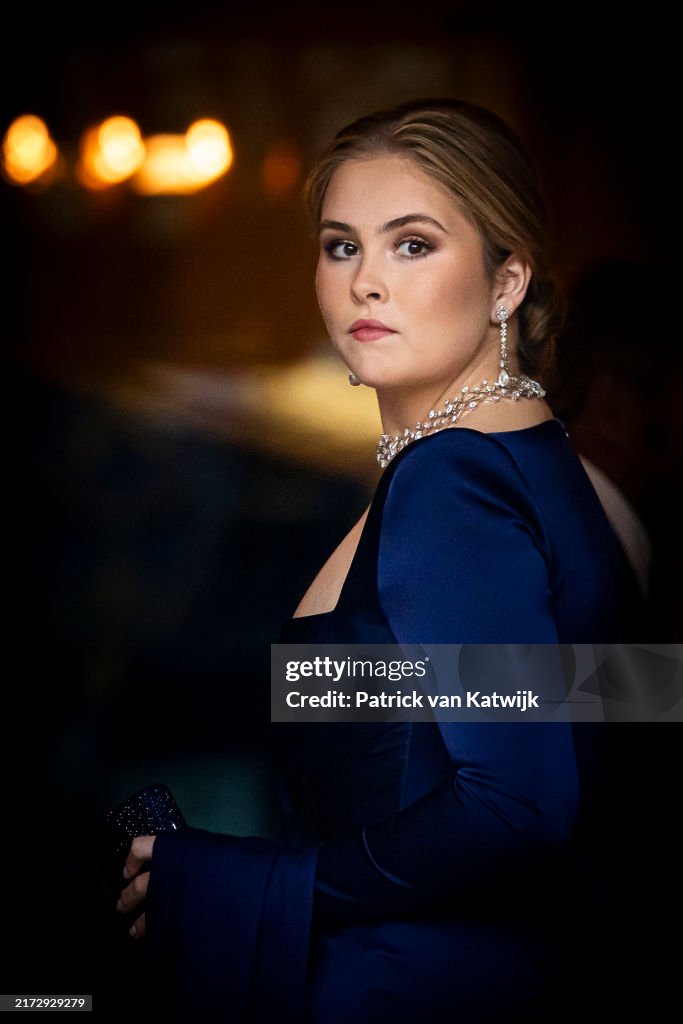 Dutch Royals Attend Gala For Council Of State In The Hague