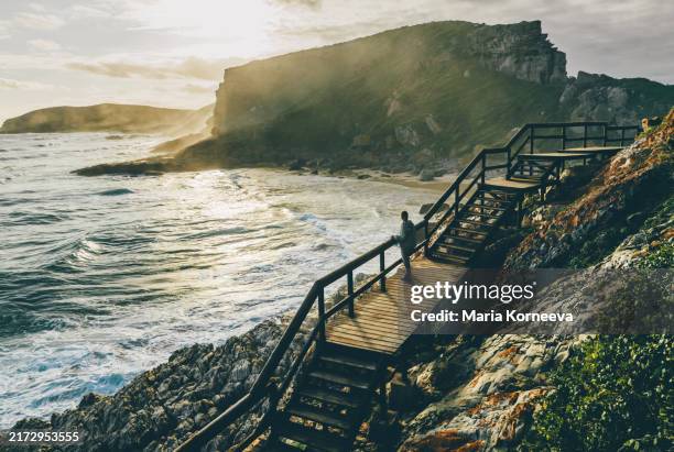 a female tourist walks along the coast in robberg game reserve in south africa. - nature park stock pictures, royalty-free photos & images