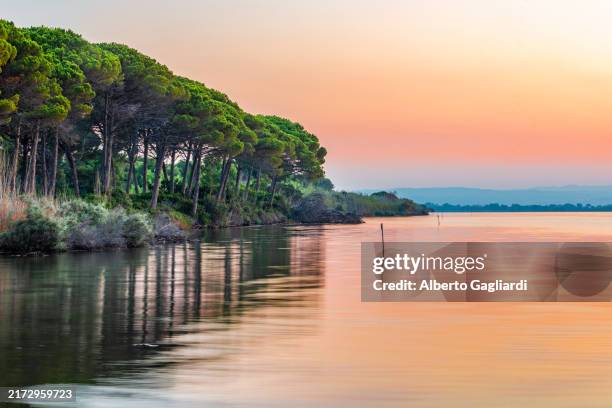 laguna de orbetello - laguna fotografías e imágenes de stock
