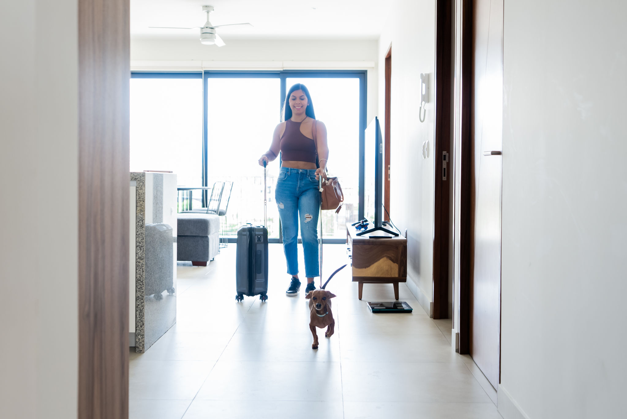 pet friendly hotel