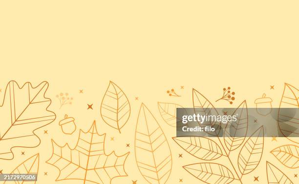 leaf line drawing abstract background - fall leaf stock illustrations