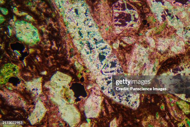 Rock Micrograph 103 Micrograph Rock Stock Photos, High-Res Pictures, and Images - Getty ...