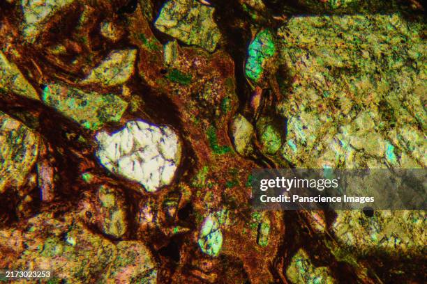 Rock Micrograph 103 Micrograph Rock Stock Photos, High-Res Pictures, and Images - Getty ...