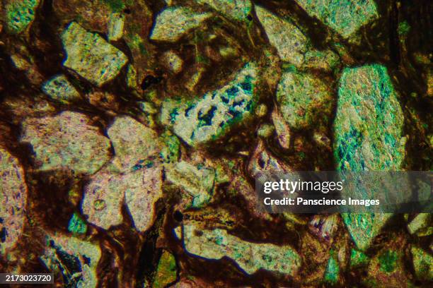 Rock Micrograph 103 Micrograph Rock Stock Photos, High-Res Pictures, and Images - Getty ...