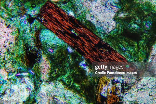 Rock Micrograph 103 Micrograph Rock Stock Photos, High-Res Pictures, and Images - Getty ...