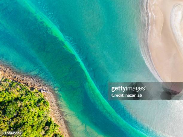 mar azul-turquesa claro. - características do litoral - fotografias e filmes do acervo