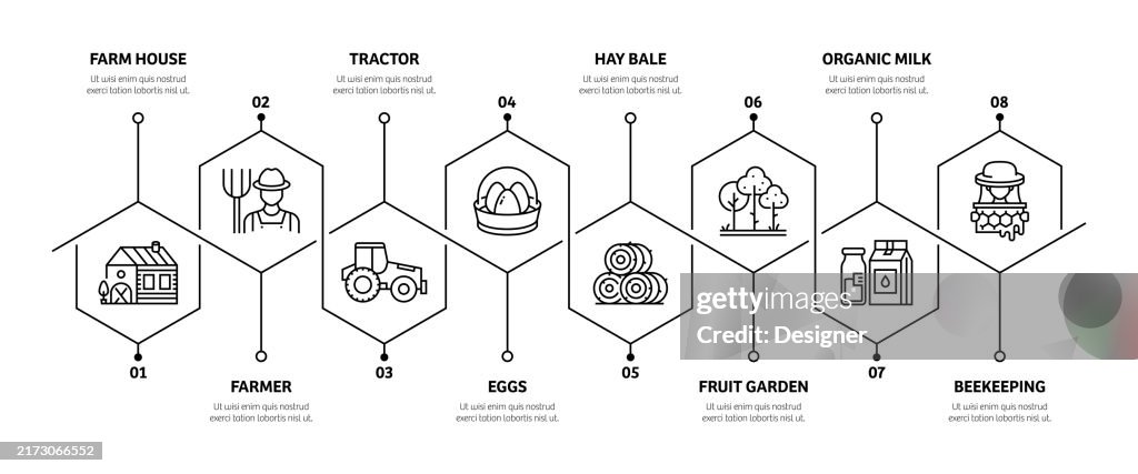 Farming And Agriculture Related Process Infographic Template Process ...