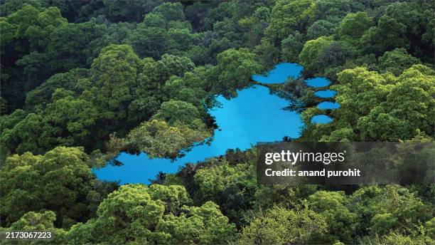 ecological footprint - voetstappen stockfoto's en -beelden