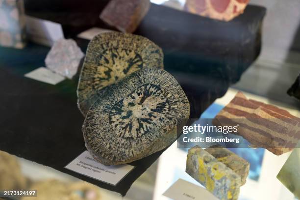 Core Sample Display Library 417 Cabinet Samples Stock Photos, High-Res Pictures, and Images - Getty ...