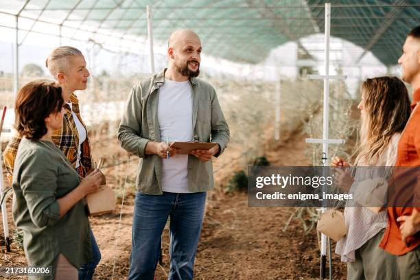 people take care of goji berries - manufactured object stock pictures, royalty-free photos & images