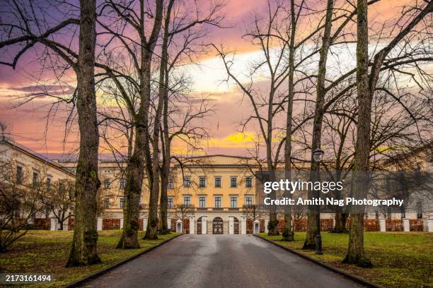 the royal norwegian palace in oslo - oslo photos et images de collection
