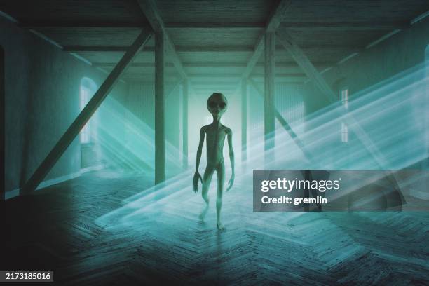 591 Alien Silhouette Stock Photos, High-Res Pictures, and Images