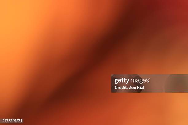 monarch butterfly defocused wings, shades of browns and orange - couleur saturée photos et images de collection