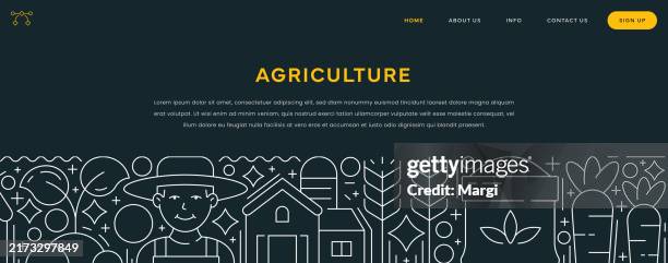 agriculture vector illustration - soybean stock illustrations