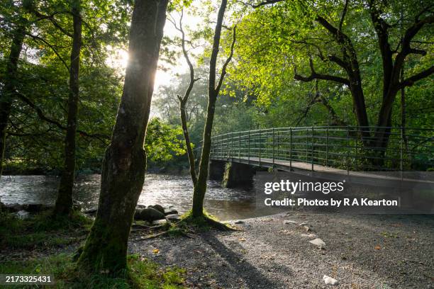River Rothery 82 River Rothay Stock Photos, High-Res Pictures, and Images - Getty Images