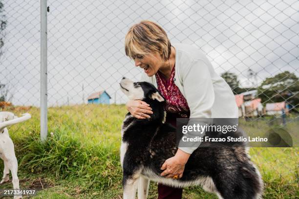 senior woman playing with dog in animal shelter - dog pound stock pictures, royalty-free photos & images