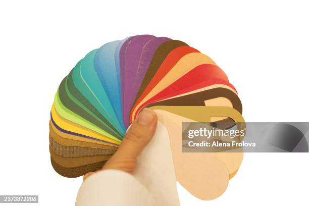 color palette in woman's hand on white background - paleta de maquillaje fotografías e imágenes de stock