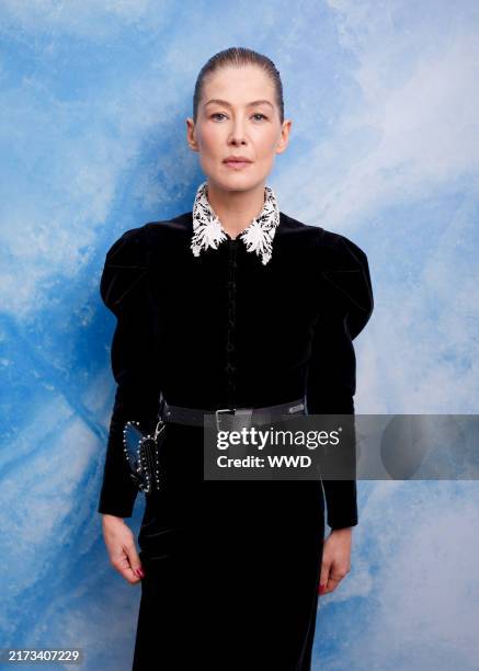 Rosamund Pike at Christian Dior RTW Spring 2025 as part of Paris Ready to Wear Fashion Week held at Musée Rodin on September 24, 2024 in Paris,...