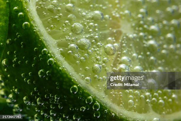 slices of fresh lime fruit with air bubbles, limewater, macro photography - condición natural fotografías e imágenes de stock