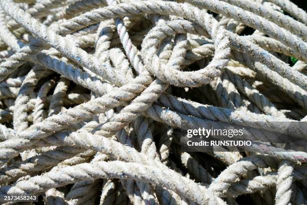 Tangled Fish Rope 138 Tangled Fishing Wire Stock Photos, High-Res Pictures, and Images ...