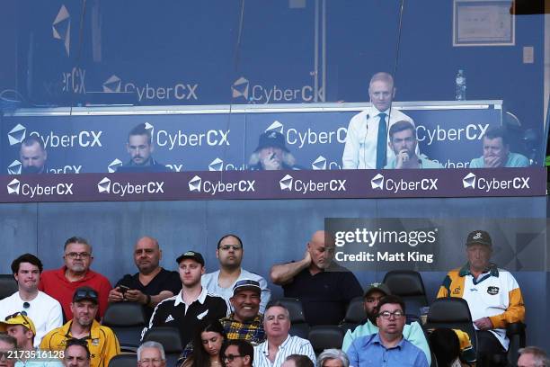 Wallabies head coach Joe Schmidt looks on from the coaching box during The Rugby Championship & Bledisloe Cup match between Australia Wallabies and...